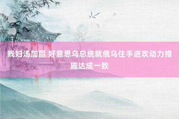 贱妇汤加丽 好意思乌总统就俄乌住手进攻动力措施达成一致