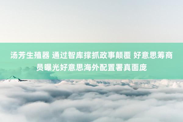 汤芳生殖器 通过智库撑抓政事颠覆 好意思筹商员曝光好意思海外配置署真面庞