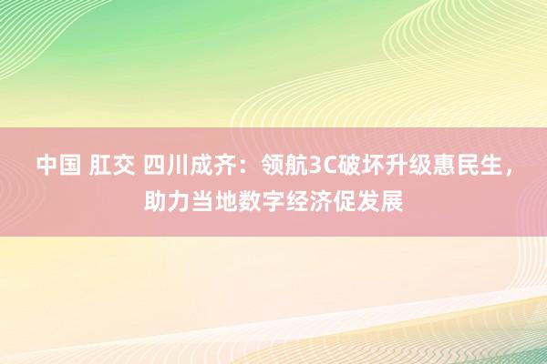 中国 肛交 四川成齐：领航3C破坏升级惠民生，助力当地数字经济促发展