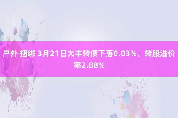 户外 捆绑 3月21日大丰转债下落0.03%，转股溢价率2.88%