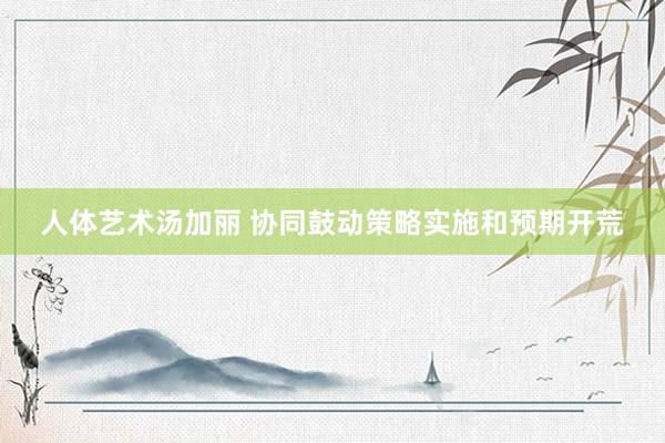 人体艺术汤加丽 协同鼓动策略实施和预期开荒