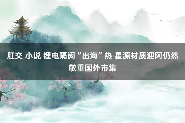 肛交 小说 锂电隔阂“出海”热 星源材质迎阿仍然敬重国外市集