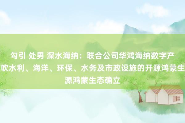 勾引 处男 深水海纳：联合公司华鸿海纳数字产业将鼓吹水利、海洋、环保、水务及市政设施的开源鸿蒙生态确立