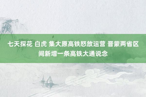 七天探花 白虎 集大原高铁怒放运营 晋蒙两省区间新增一条高铁大通说念