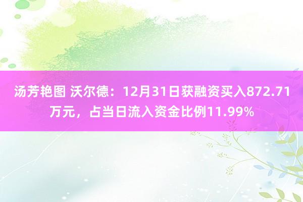 汤芳艳图 沃尔德：12月31日获融资买入872.71万元，占当日流入资金比例11.99%