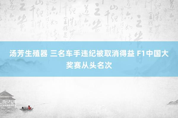 汤芳生殖器 三名车手违纪被取消得益 F1中国大奖赛从头名次
