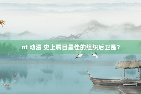 nt 动漫 史上属目最佳的组织后卫是？