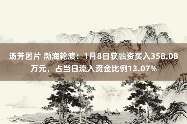 汤芳图片 渤海轮渡：1月8日获融资买入358.08万元，占当日流入资金比例13.07%