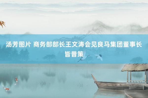 汤芳图片 商务部部长王文涛会见良马集团董事长皆普策