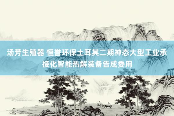 汤芳生殖器 恒誉环保土耳其二期神态大型工业承接化智能热解装备告成委用