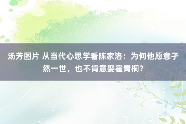 汤芳图片 从当代心思学看陈家洛：为何他愿意孑然一世，也不肯意娶霍青桐？