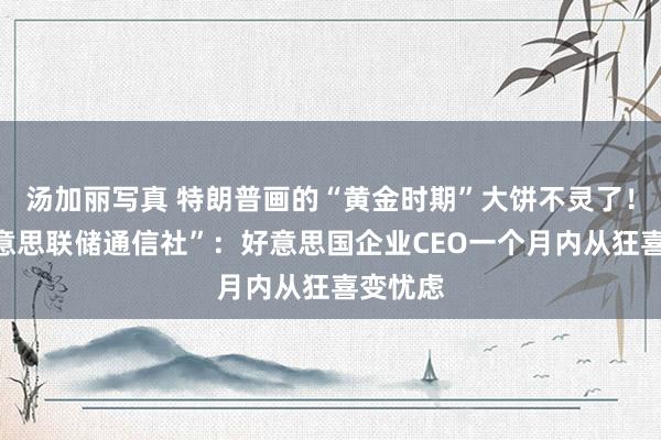 汤加丽写真 特朗普画的“黄金时期”大饼不灵了！“新好意思联储通信社”：好意思国企业CEO一个月内从狂喜变忧虑