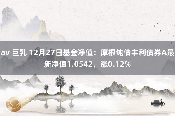 av 巨乳 12月27日基金净值：摩根纯债丰利债券A最新净值1.0542，涨0.12%
