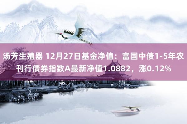 汤芳生殖器 12月27日基金净值：富国中债1-5年农刊行债券指数A最新净值1.0882，涨0.12%