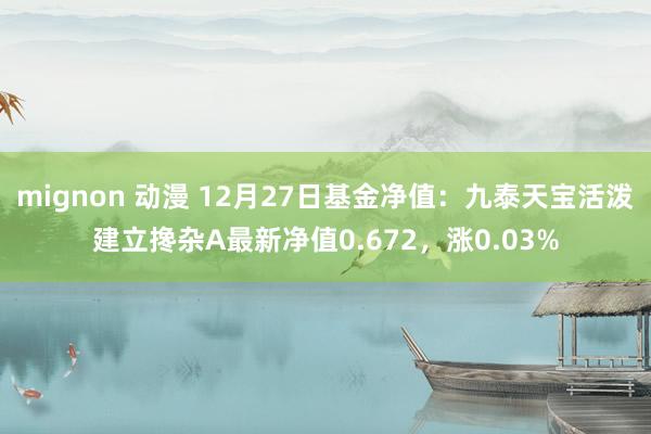 mignon 动漫 12月27日基金净值：九泰天宝活泼建立搀杂A最新净值0.672，涨0.03%