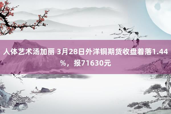 人体艺术汤加丽 3月28日外洋铜期货收盘着落1.44%，报71630元
