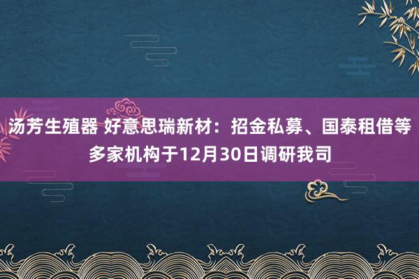 汤芳生殖器 好意思瑞新材：招金私募、国泰租借等多家机构于12月30日调研我司