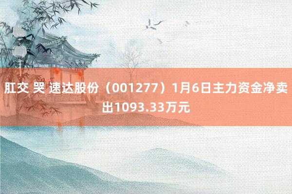 肛交 哭 速达股份（001277）1月6日主力资金净卖出1093.33万元