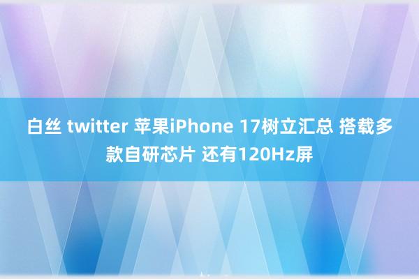 白丝 twitter 苹果iPhone 17树立汇总 搭载多款自研芯片 还有120Hz屏
