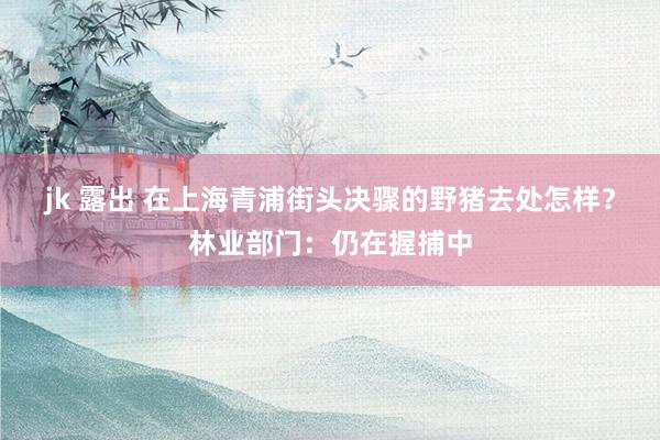 jk 露出 在上海青浦街头决骤的野猪去处怎样？林业部门：仍在握捕中
