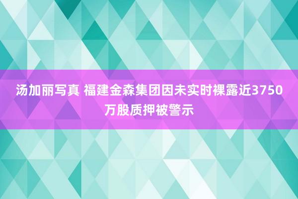 汤加丽写真 福建金森集团因未实时裸露近3750万股质押被警示