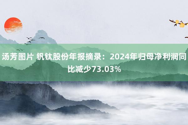 汤芳图片 钒钛股份年报摘录：2024年归母净利润同比减少73.03%