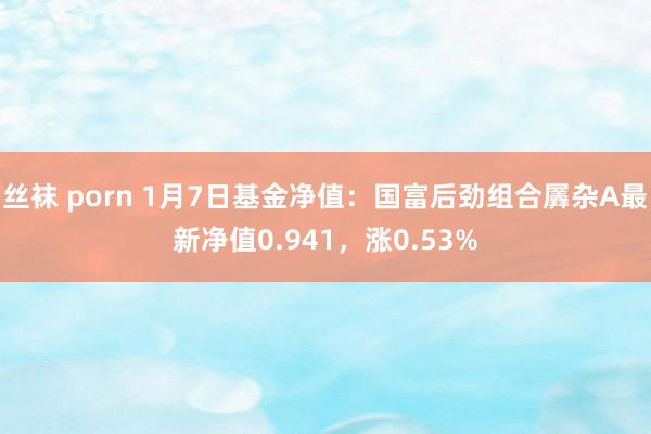 丝袜 porn 1月7日基金净值：国富后劲组合羼杂A最新净值0.941，涨0.53%
