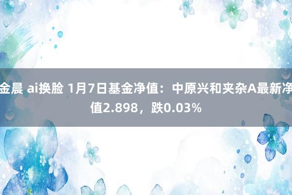 金晨 ai换脸 1月7日基金净值：中原兴和夹杂A最新净值2.898，跌0.03%