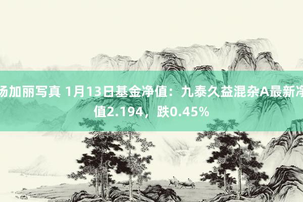 汤加丽写真 1月13日基金净值：九泰久益混杂A最新净值2.194，跌0.45%