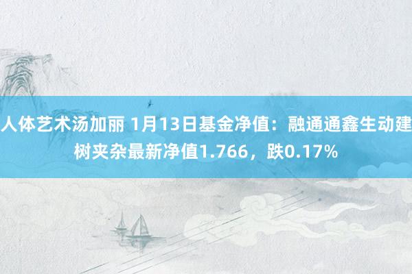 人体艺术汤加丽 1月13日基金净值：融通通鑫生动建树夹杂最新净值1.766，跌0.17%