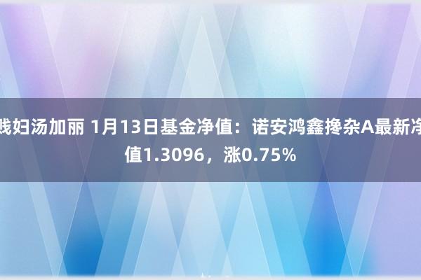 贱妇汤加丽 1月13日基金净值：诺安鸿鑫搀杂A最新净值1.3096，涨0.75%