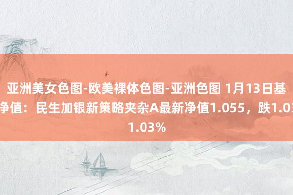 亚洲美女色图-欧美裸体色图-亚洲色图 1月13日基金净值：民生加银新策略夹杂A最新净值1.055，跌1.03%