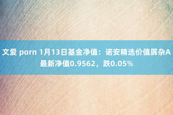 文爱 porn 1月13日基金净值：诺安精选价值羼杂A最新净值0.9562，跌0.05%