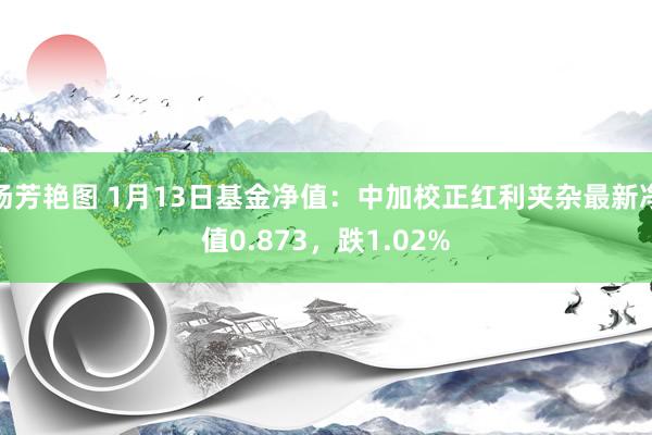汤芳艳图 1月13日基金净值：中加校正红利夹杂最新净值0.873，跌1.02%
