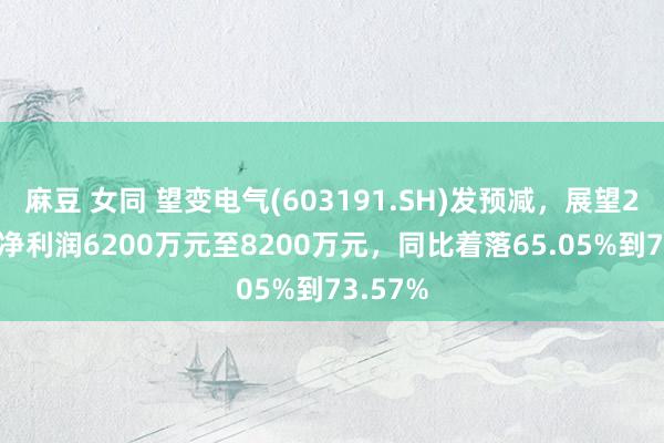 麻豆 女同 望变电气(603191.SH)发预减，展望2024年净利润6200万元至8200万元，同比着落65.05%到73.57%
