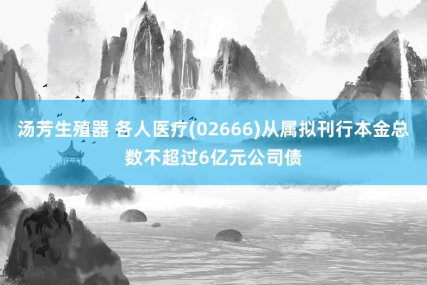 汤芳生殖器 各人医疗(02666)从属拟刊行本金总数不超过6亿元公司债