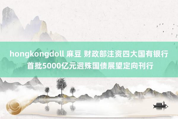 hongkongdoll 麻豆 财政部注资四大国有银行 首批5000亿元迥殊国债展望定向刊行