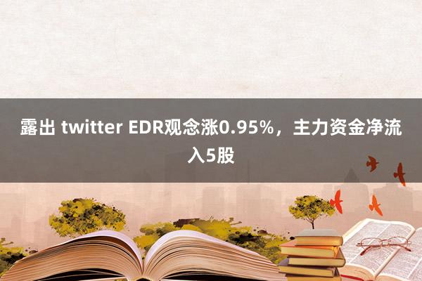 露出 twitter EDR观念涨0.95%，主力资金净流入5股