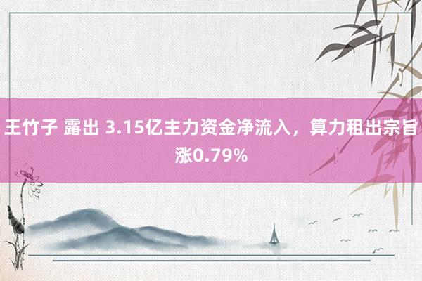 王竹子 露出 3.15亿主力资金净流入，算力租出宗旨涨0.79%