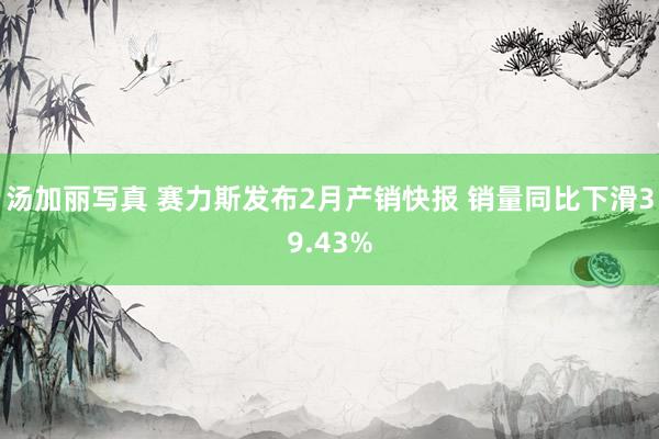 汤加丽写真 赛力斯发布2月产销快报 销量同比下滑39.43%