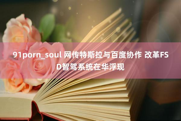 91porn_soul 网传特斯拉与百度协作 改革FSD智驾系统在华浮现