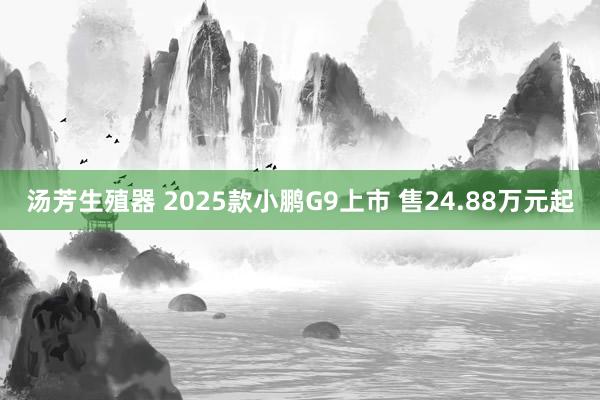 汤芳生殖器 2025款小鹏G9上市 售24.88万元起