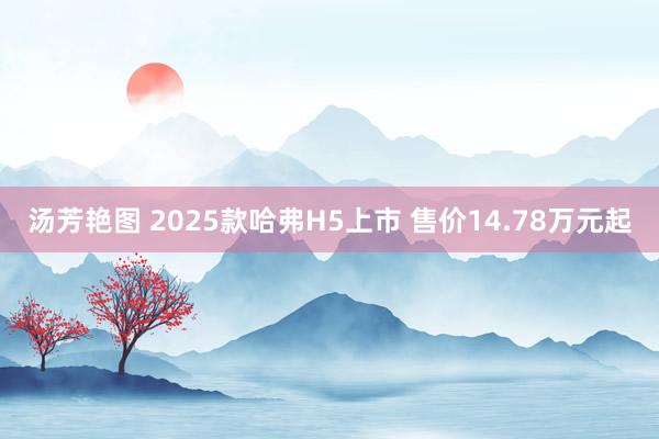 汤芳艳图 2025款哈弗H5上市 售价14.78万元起
