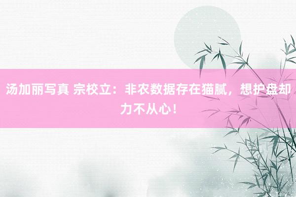 汤加丽写真 宗校立：非农数据存在猫腻，想护盘却力不从心！