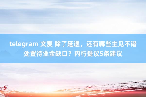 telegram 文爱 除了延退，还有哪些主见不错处置待业金缺口？内行提议5条建议