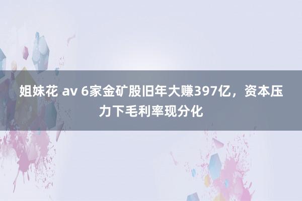 姐妹花 av 6家金矿股旧年大赚397亿，资本压力下毛利率现分化