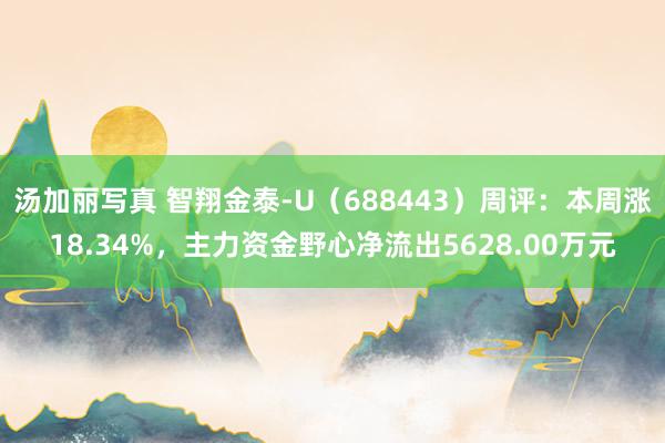 汤加丽写真 智翔金泰-U（688443）周评：本周涨18.34%，主力资金野心净流出5628.00万元
