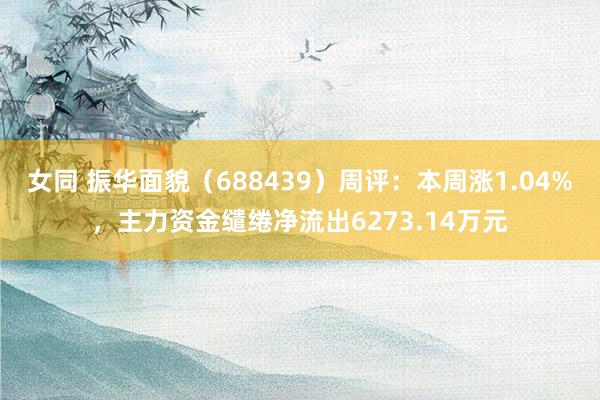 女同 振华面貌（688439）周评：本周涨1.04%，主力资金缱绻净流出6273.14万元