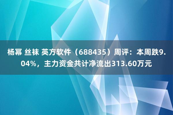 杨幂 丝袜 英方软件（688435）周评：本周跌9.04%，主力资金共计净流出313.60万元