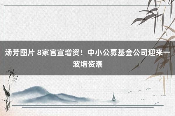 汤芳图片 8家官宣增资！中小公募基金公司迎来一波增资潮